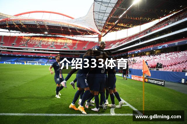 介绍333体育